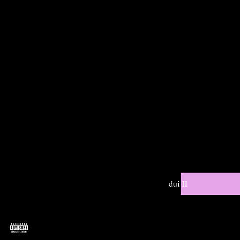 dui II album art