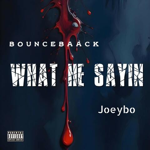 What He Sayin album art