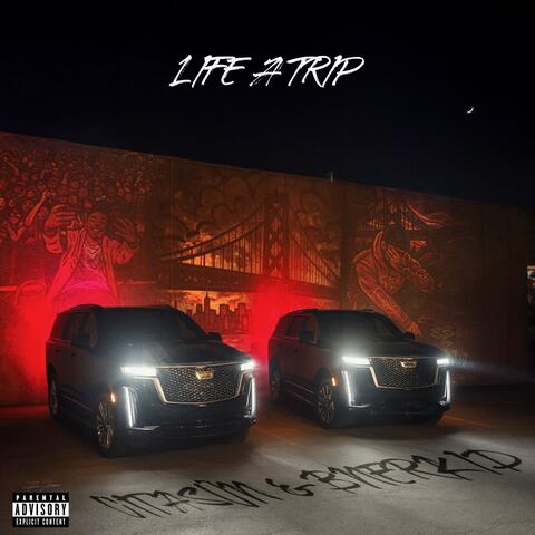 LIFE A TRIP album art