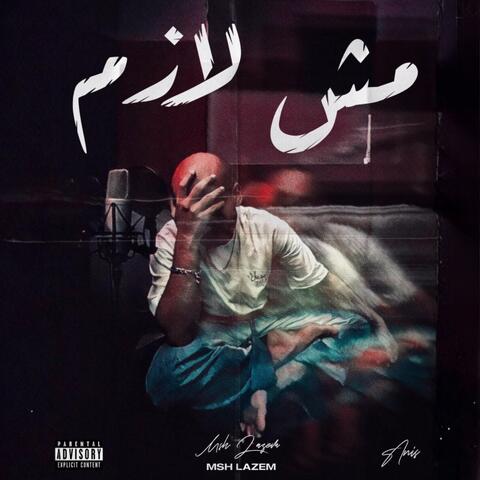 مش لازم album art