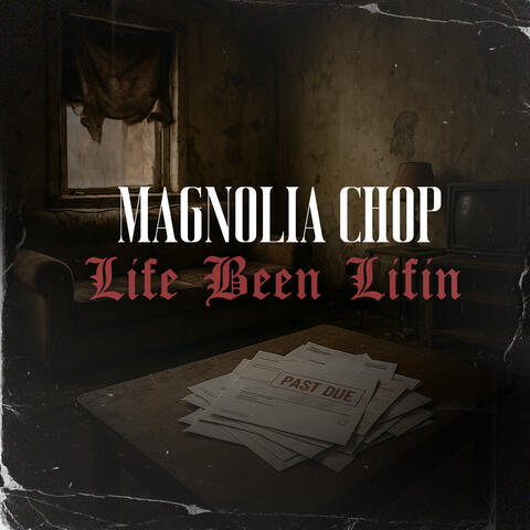 Life Been Lifin album art