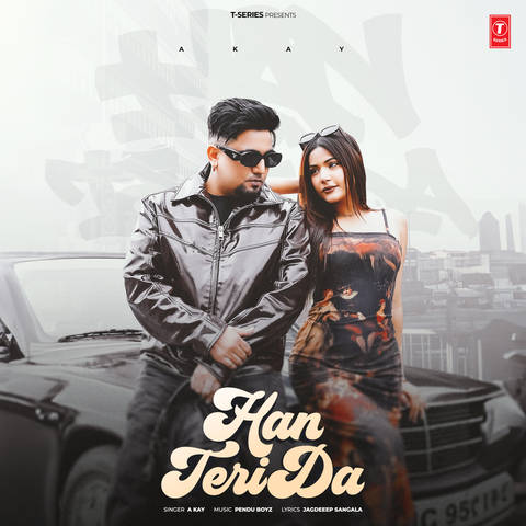 Han Teri Da album art