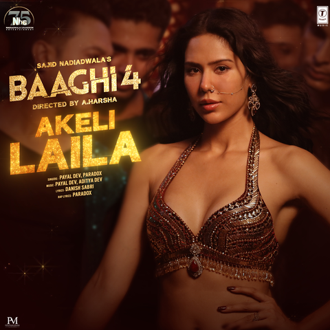 Akeli Laila (From "Baaghi 4") album art