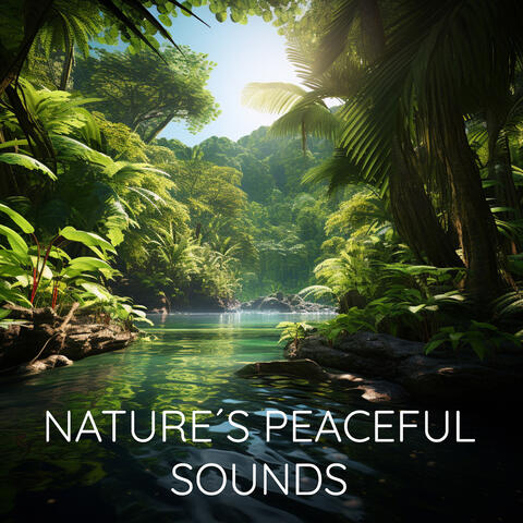 Nature's Peaceful Sounds (Ambiences for Better Sleep) album art