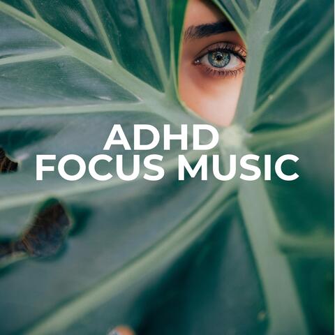 Adhd Focus Music album art