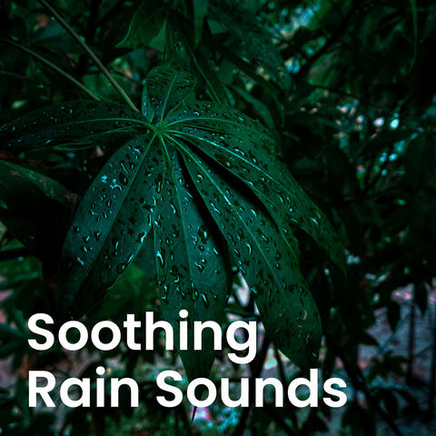 Soothing Rain Sounds album art