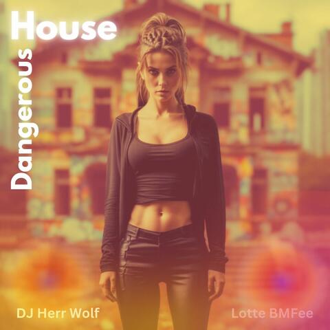 Dangerous House album art