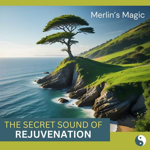 The Secret Sound of Rejuvenation album art