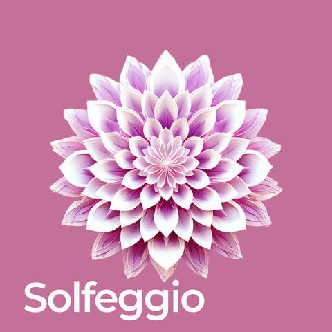 Solfeggio Frequencies Chakra Healing album art