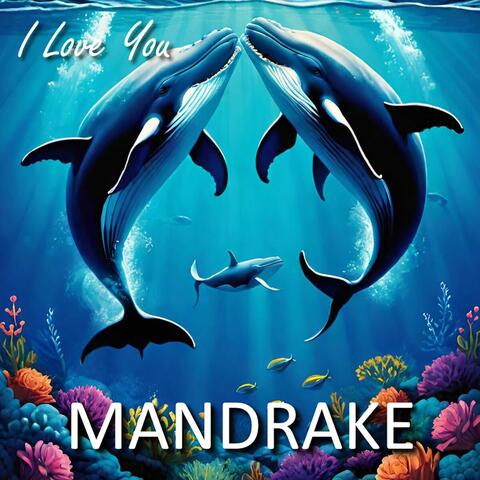 I Love You album art
