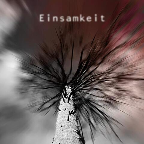 Einsamkeit album art
