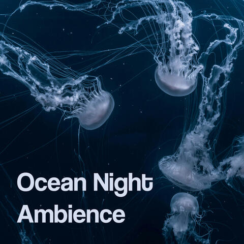 Ocean Night Ambience album art