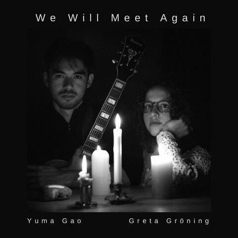 We Will Meet Again album art