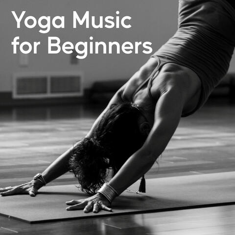 Yoga Music for Beginners album art