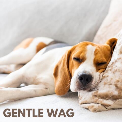 Gentle Wag album art