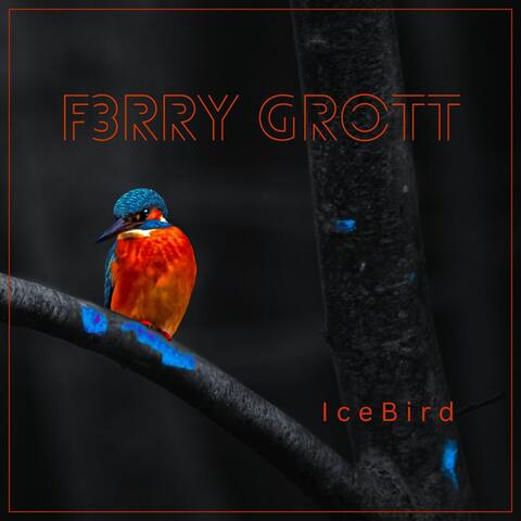 Icebird album art