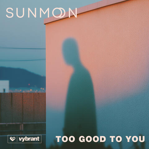 Too Good to You album art