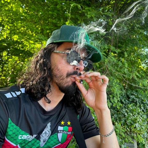 Thc im System album art