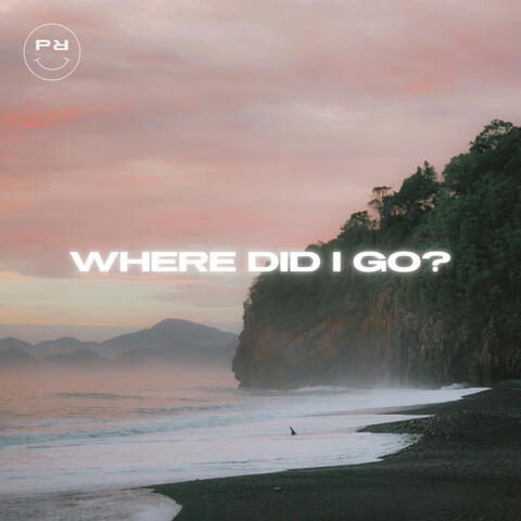 Where Did I Go? album art
