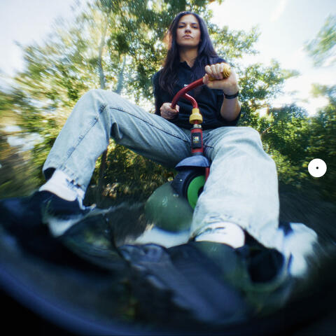 Der Mückenschwarm album art