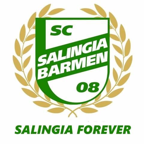 Salingia Forever album art
