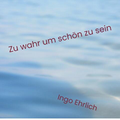 Zu wahr um schön zu sein album art