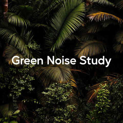 Green Noise Study album art