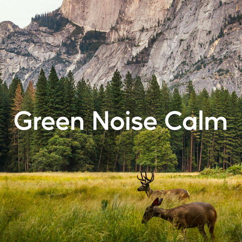 Green Noise Calm album art