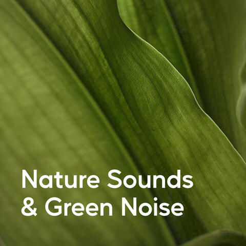 Nature Sounds & Green Noise album art