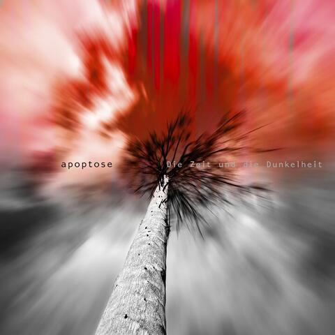 Die Zeit und die Dunkelheit album art