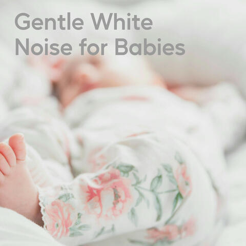 Gentle White Noise for Babies album art