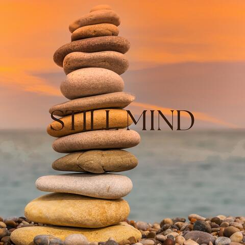 Still Mind album art