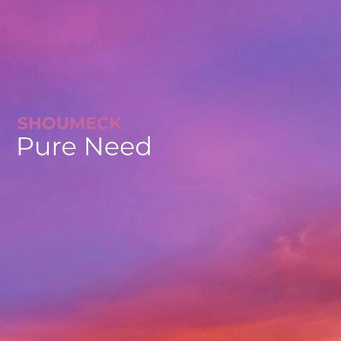 Pure Need album art