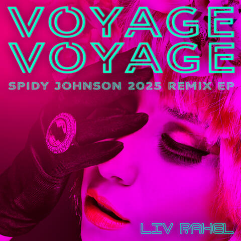 Voyage Voyage album art