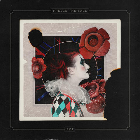 Rot album art