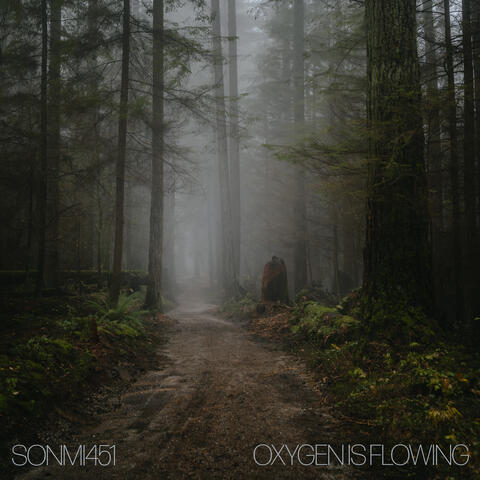 Oxygen is Flowing album art