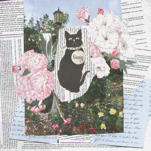 Ginny album art