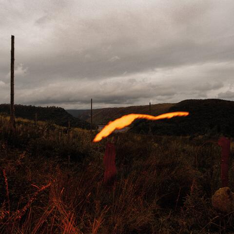 The Foel Tower album art
