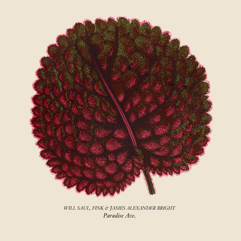 Paradise Ave album art