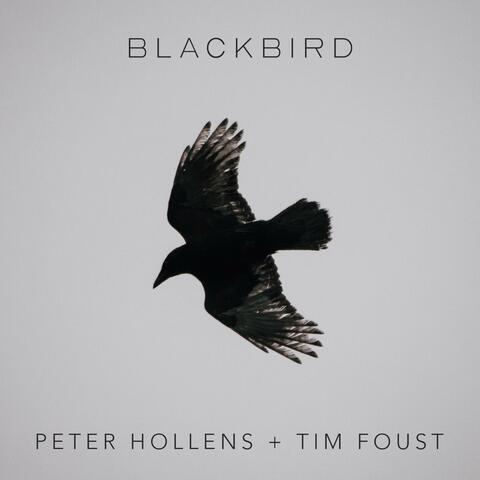 Blackbird album art