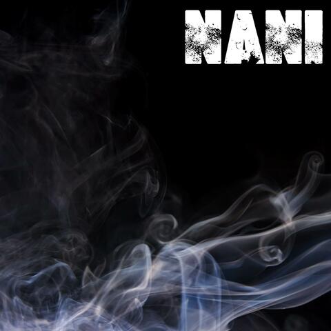 Nani (Originally Performed by Saweetie) [Instrumental] album art