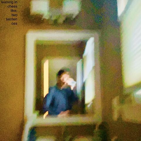 like, two sentences album art