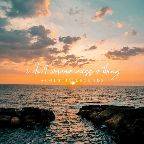 I Don't Want to Miss a Thing album art