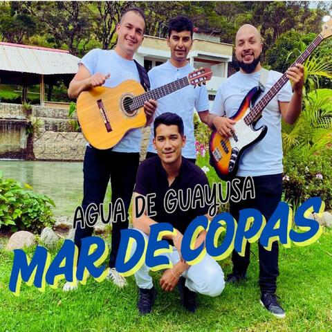 El agua de Guayusa album art
