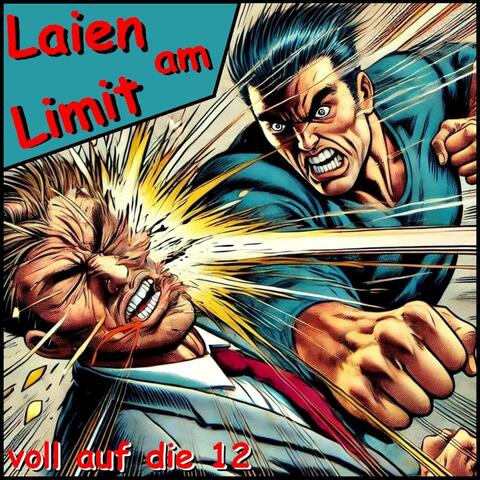 Voll auf die 12 album art
