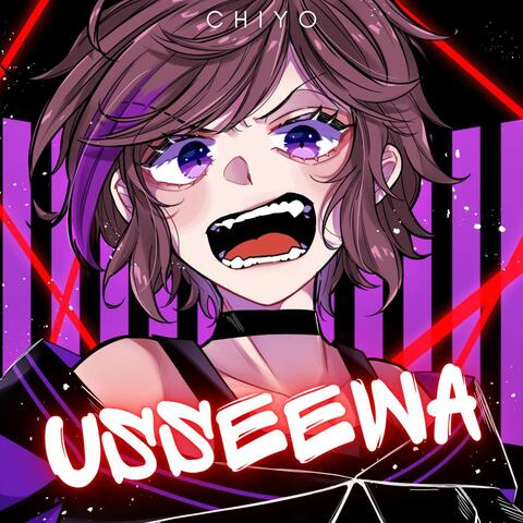 USSEEWA album art