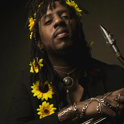 Sunflower Sax Covers album art