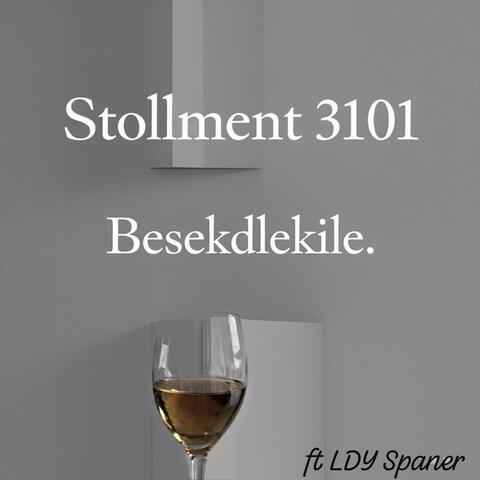 Besekdlekile album art