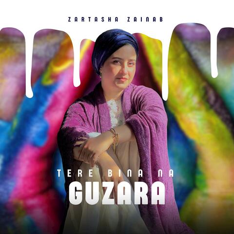 Tere Bina Na Guzara album art