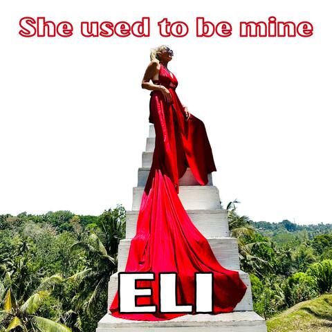 She Used To Be Mine album art